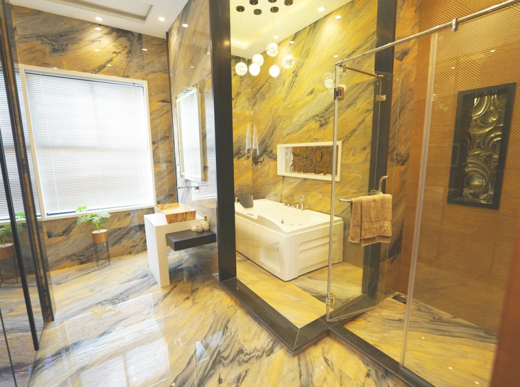 Luxury Fully Furnished 1 Kanal House in DHA Lahore