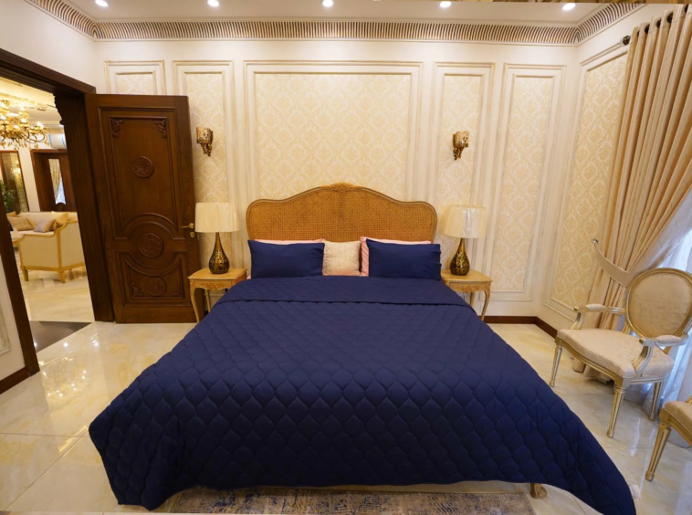 Fully Furnished Luxury House for Sale in DHA Lahore Phase 5 Basement Home Theater